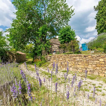 Skabici Cr * Gromnik