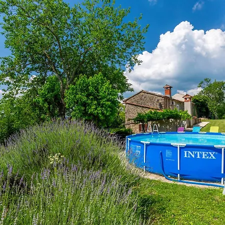 Skabici Cr Nyaraló Gromnik